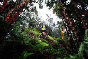 BIB: 
                            <button type="button" onclick="openModal(26205527)" class="btn btn-primary btn-sm float-right btn-popup" data-toggle="modal" data-target=".modal-high-quality">
                        <i class="fas fa-shopping-cart"></i> Add to Cart
                    </button>
                                            <button type="button" onclick="isThisMe(26205527, true)" class="btn btn-success btn-sm float-right btn-popup btn-isme hidden" data-toggle="tooltip" data-placement="bottom" title="นี่คือรูปของคุณใช่ไหม คลิกที่นี่เพื่อเอาเข้าอัลบั้ม">
                        <i class="fas fa-plus"></i> Add to album
                    </button>
                    <button type="button" onclick="isThisMe(26205527, false)" class="btn btn-warning btn-sm float-right btn-popup btn-isnotme hidden">
                        <i class="fas fa-ban"></i> Remove from album
                    </button>